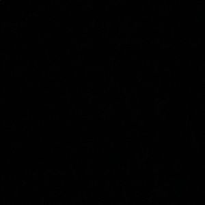 Meet your Posher, Liana